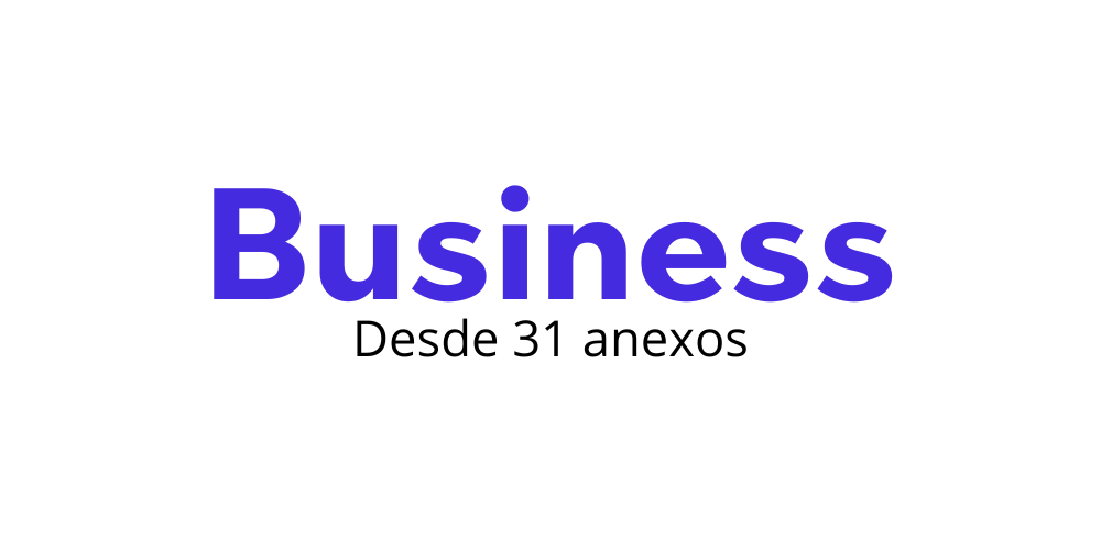 Plan Business