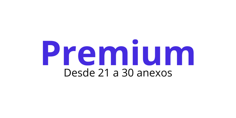 Plan Premium FonoIP